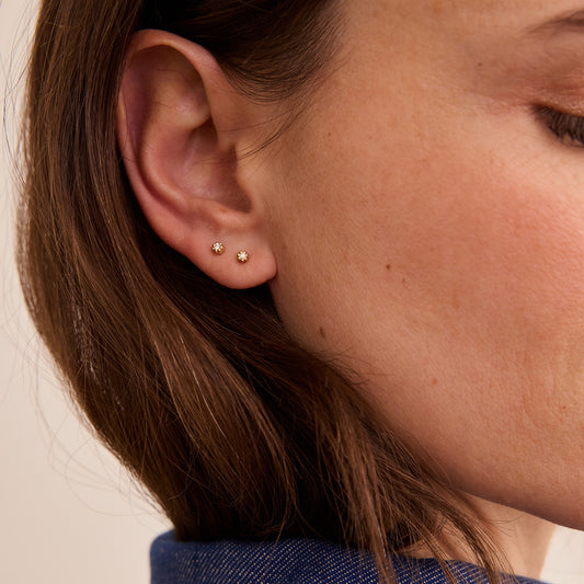 Puce d'oreille Mini Marguerite