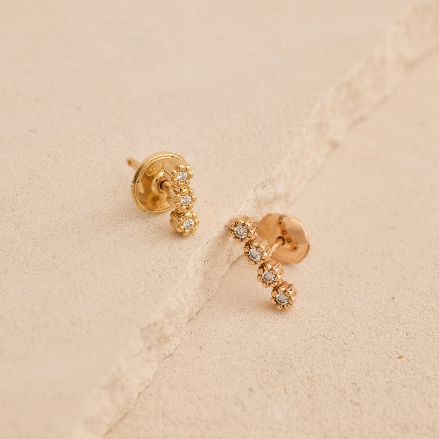 Puces d'oreilles