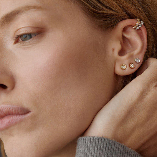 Puce d'oreille Marguerite
