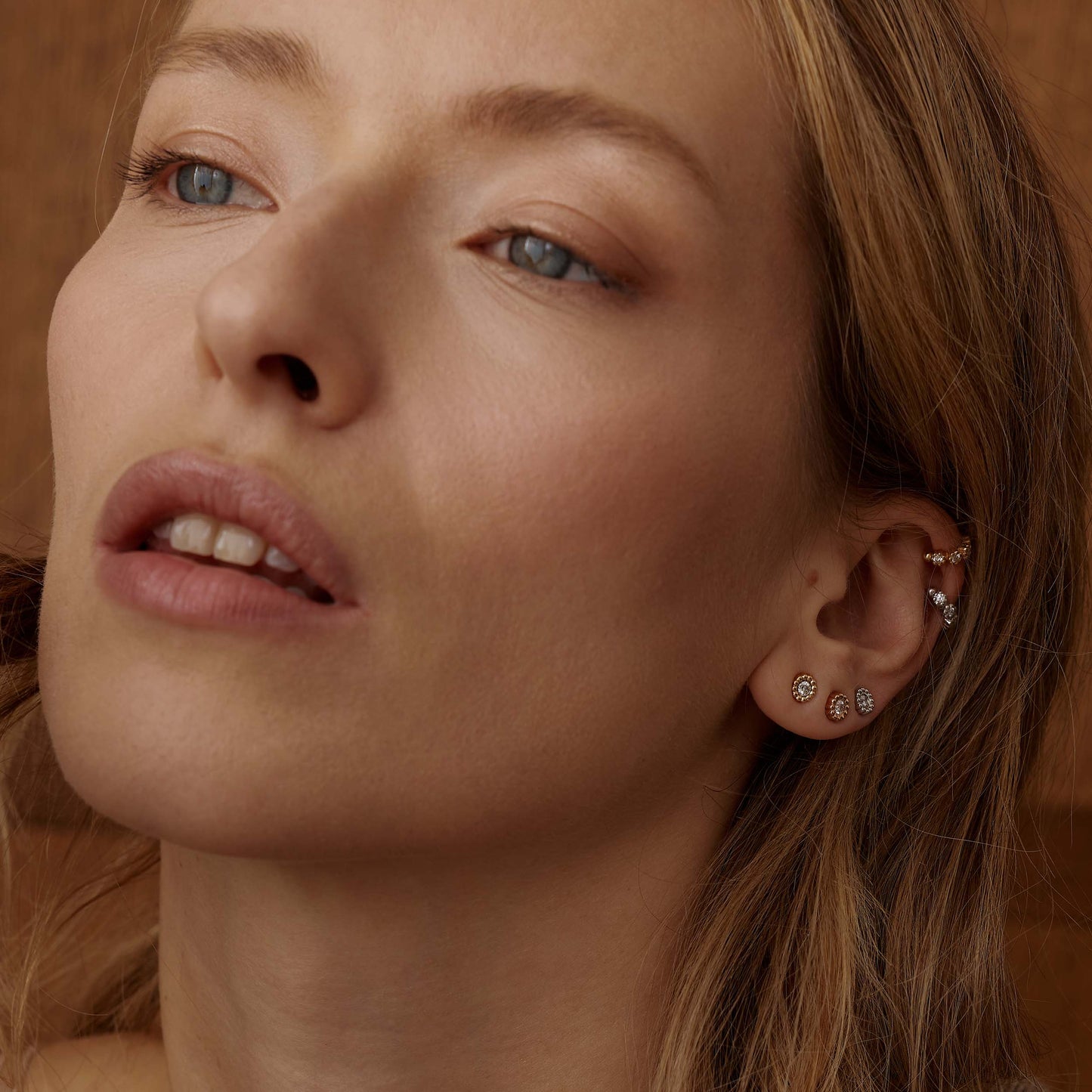 Puce d'oreille Marguerite